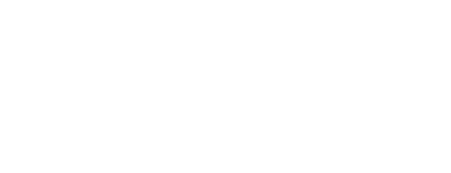 胡蝶羽根
J-Classic Butterfly WINGS