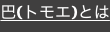 shapeimage_17_link_0