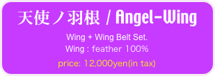天使ノ羽根 / Angel-Wing
Wing + Wing Belt Set.
Wing : feather 100%
price: 12,000yen(in tax)